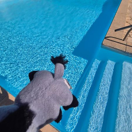 Havre De Paix Appart Climatise,Piscine,Wifi Le Barcarès Dış mekan fotoğraf