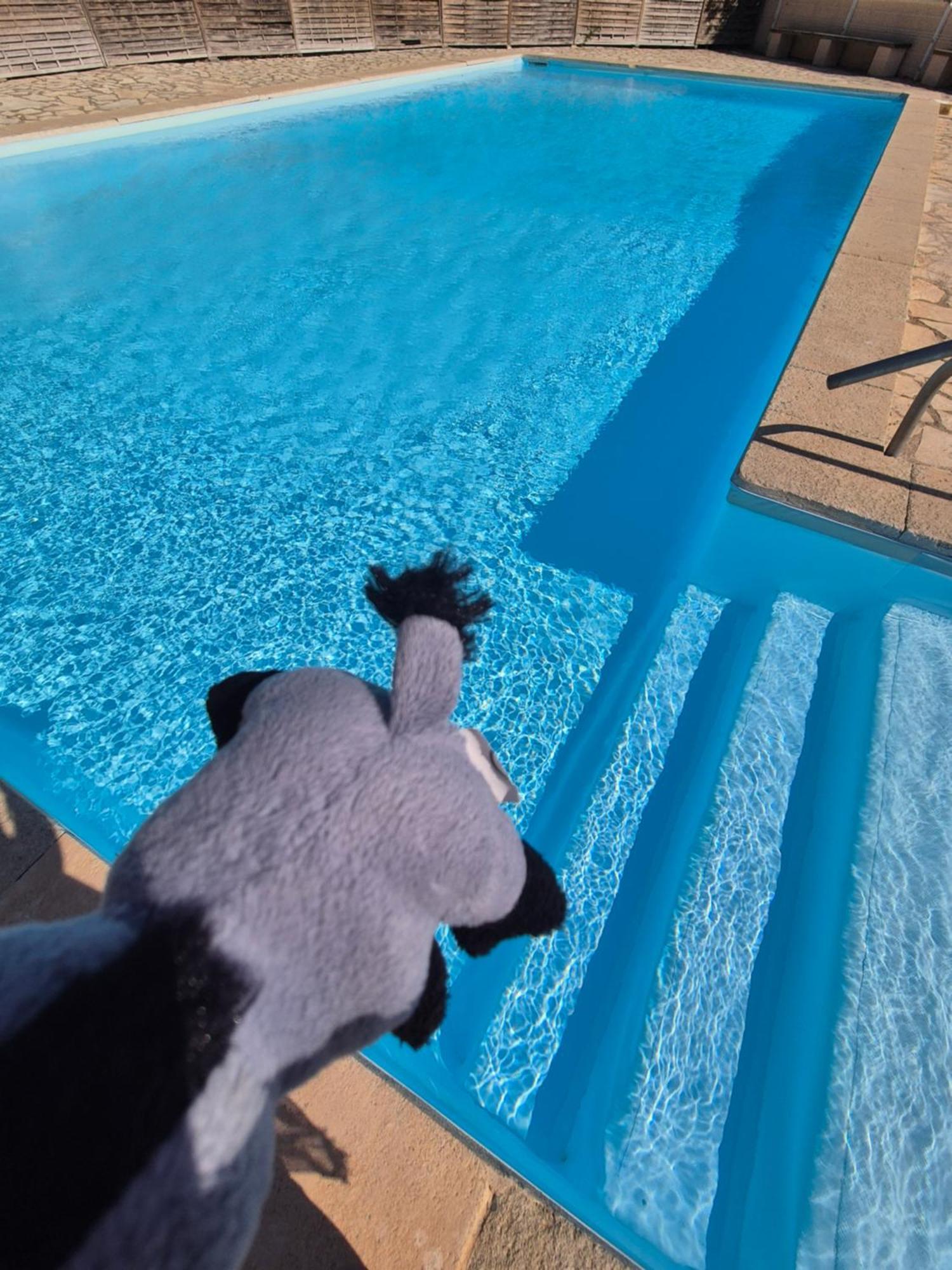 Havre De Paix Appart Climatise,Piscine,Wifi Le Barcarès Dış mekan fotoğraf